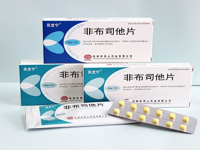 非布司他片（20mg、 40mg）